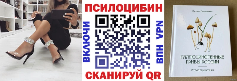 Купить закладки  Ливны  Галлюциногенные грибы мухоморы 